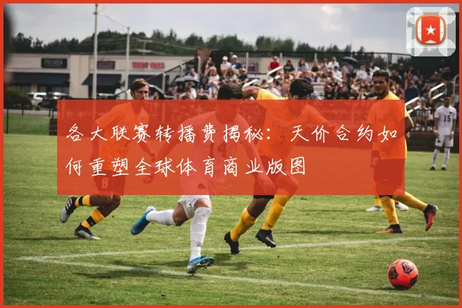 各大联赛转播费揭秘:天价合约如何重塑全球体育商业版图